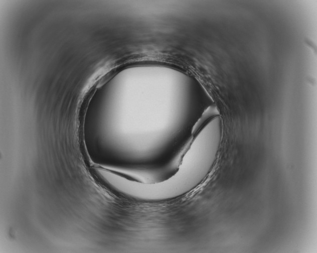 X0000095900150200802081148