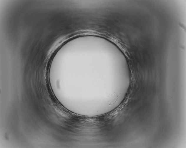 X0000095900151200802081148