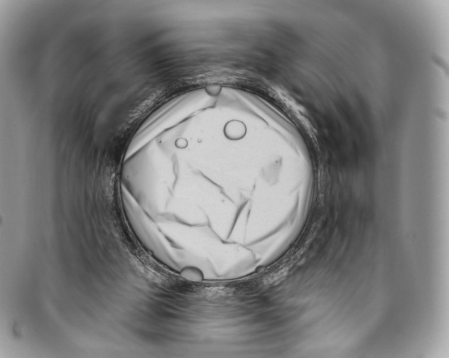 X0000095900153200802081148