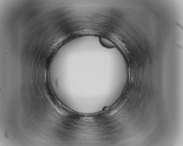 X0000095900157200802081148