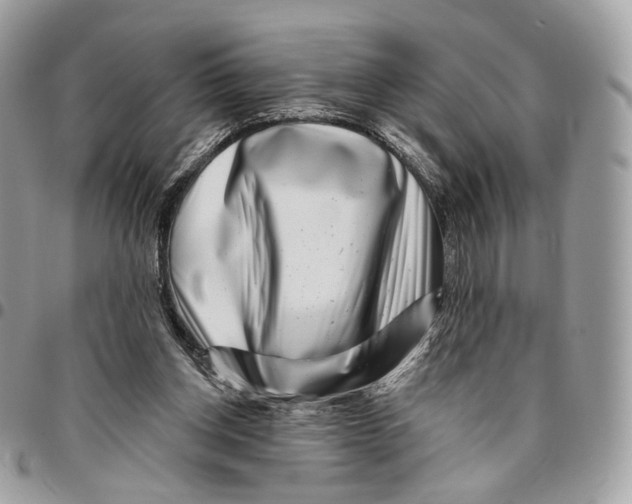 X0000095900158200802081148