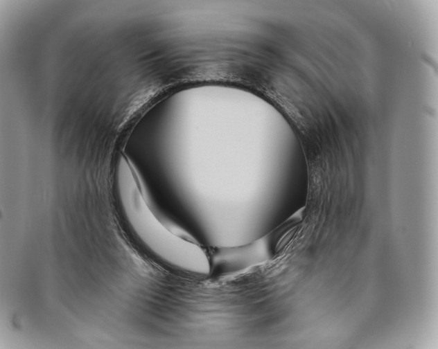 X0000095900160200802081148