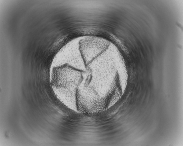 X0000095900161200802081148