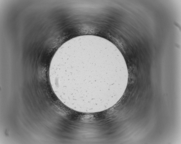 X0000095900162200802081148