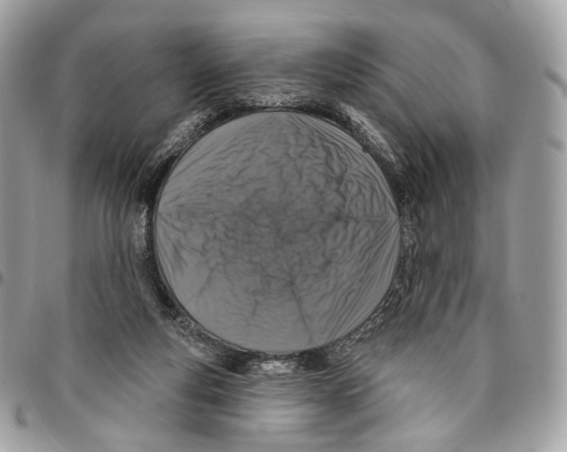 X0000095900163200802081148