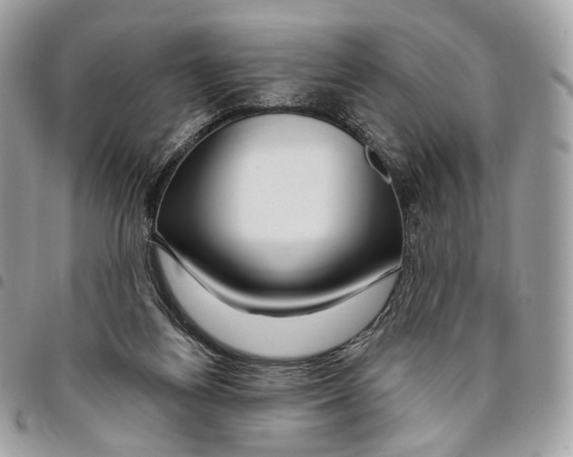 X0000095900164200802081148