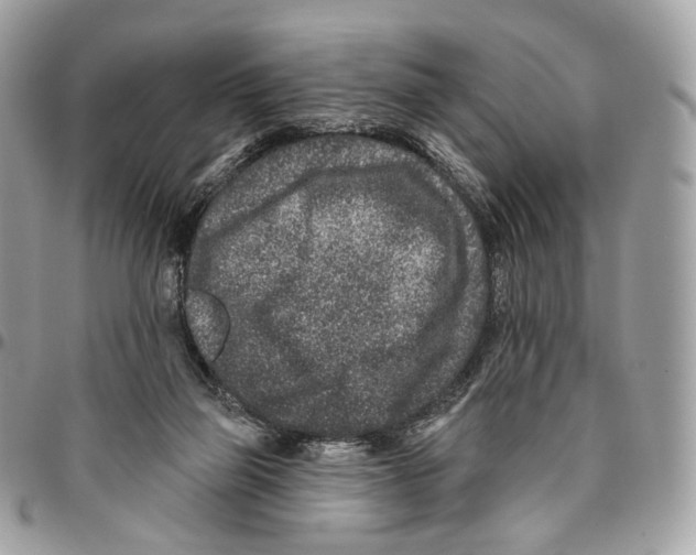 X0000095900165200802081148