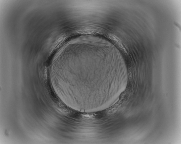 X0000095900167200802081148