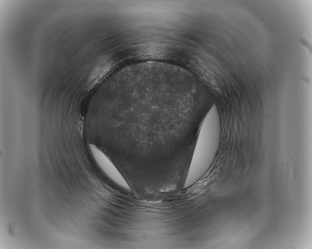 X0000095900168200802081148