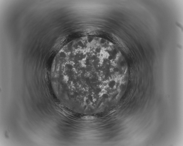 X0000095900169200802081148