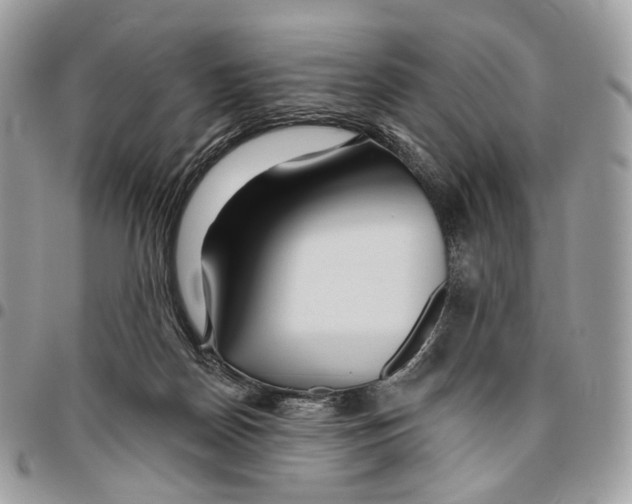 X0000095900170200802081148