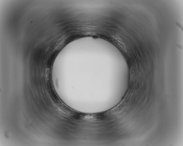 X0000095900171200802081148