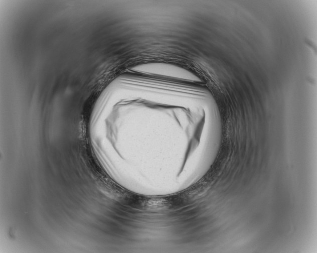 X0000095900173200802081148