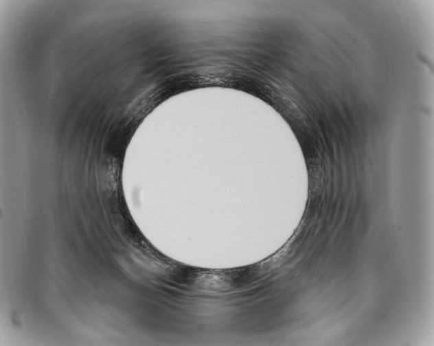 X0000095900174200802081148