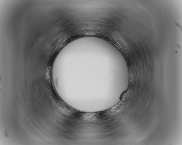 X0000095900175200802081148