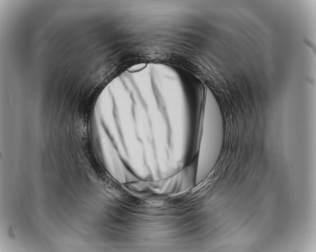 X0000095900176200802081148