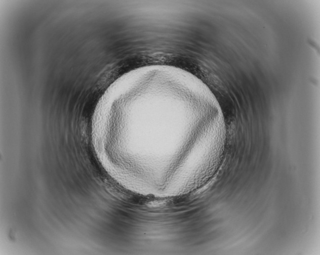 X0000095900178200802081148