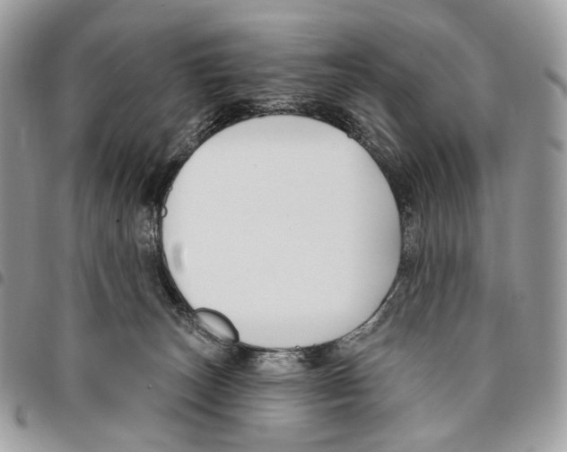 X0000095900179200802081148