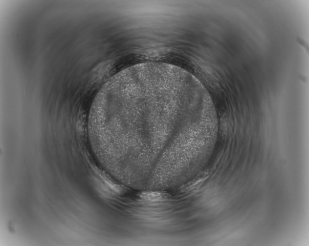 X0000095900181200802081148