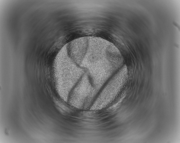 X0000095900182200802081148