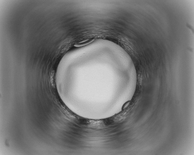 X0000095900185200802081148