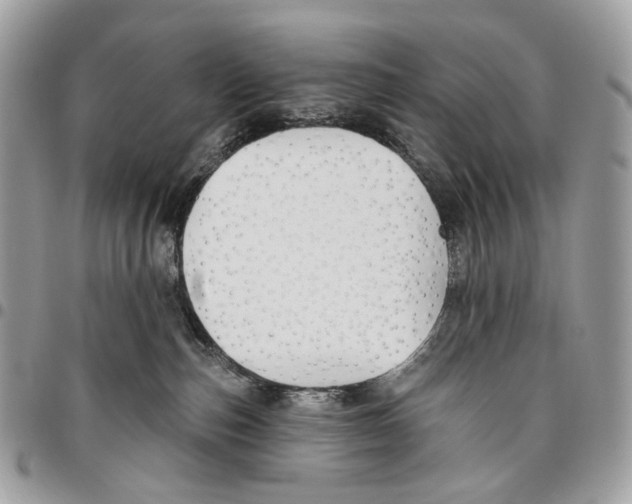 X0000095900187200802081148