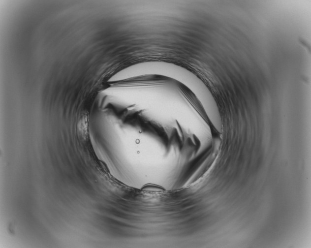 X0000095900190200802081148