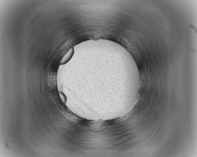 X0000095900191200802081148