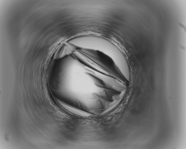 X0000095900193200802081148