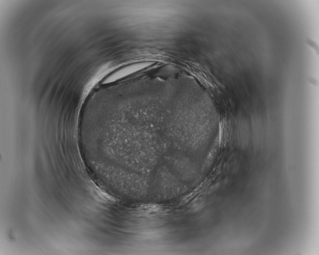 X0000095900195200802081148