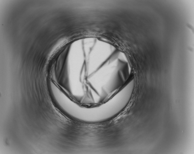 X0000095900197200802081148