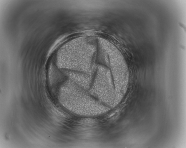 X0000095900198200802081148