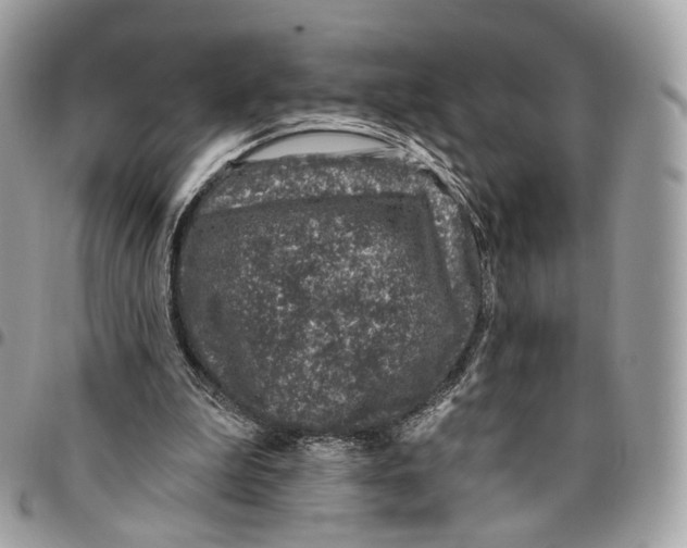 X0000095900199200802081148