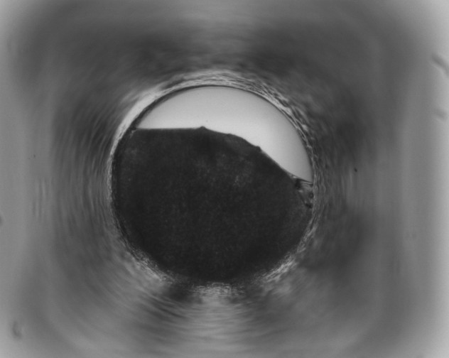 X0000095900200200802081148