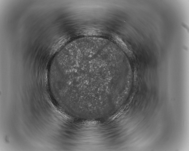 X0000095900202200802081148