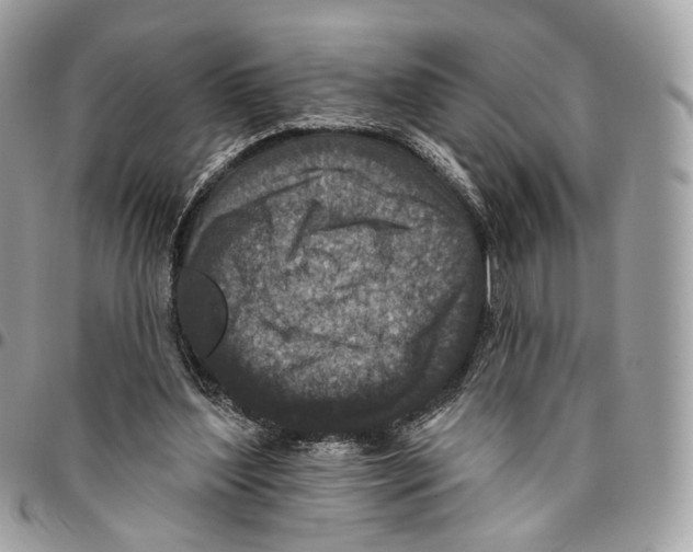 X0000095900204200802081148