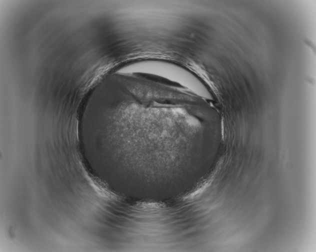 X0000095900205200802081148