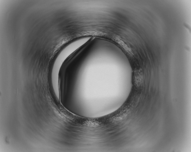 X0000095900207200802081148