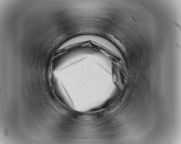 X0000095900209200802081148