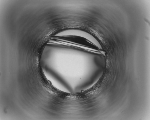 X0000095900211200802081148