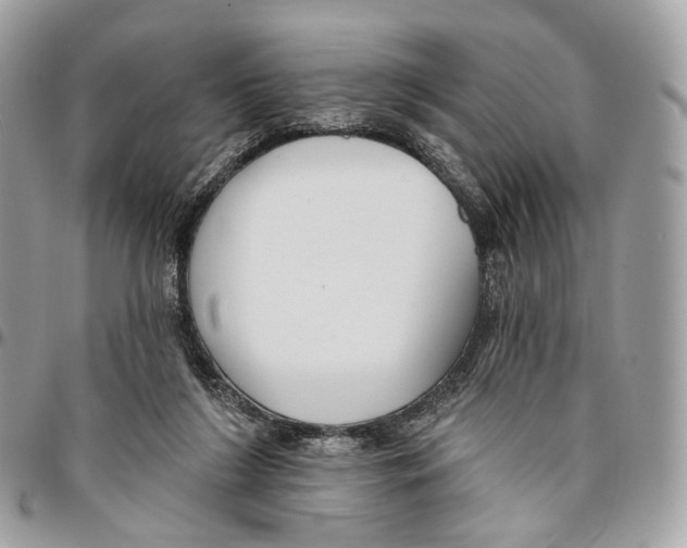 X0000095900212200802081148