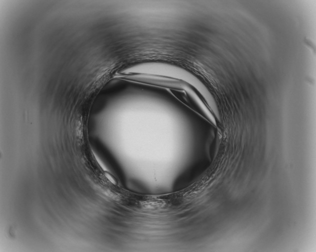 X0000095900215200802081148