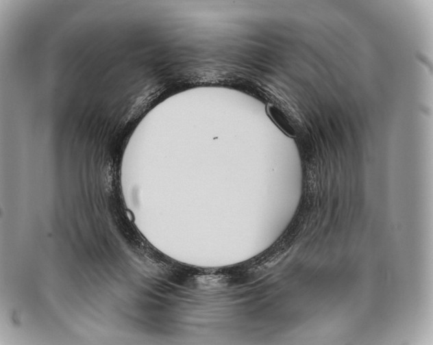 X0000095900216200802081148