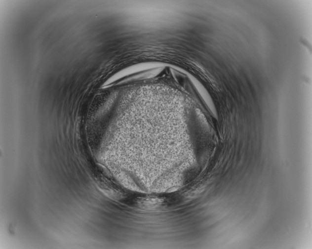 X0000095900217200802081147