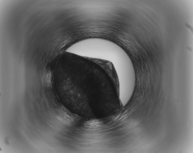 X0000095900219200802081147