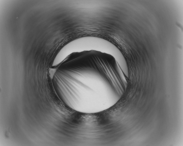 X0000095900221200802081147