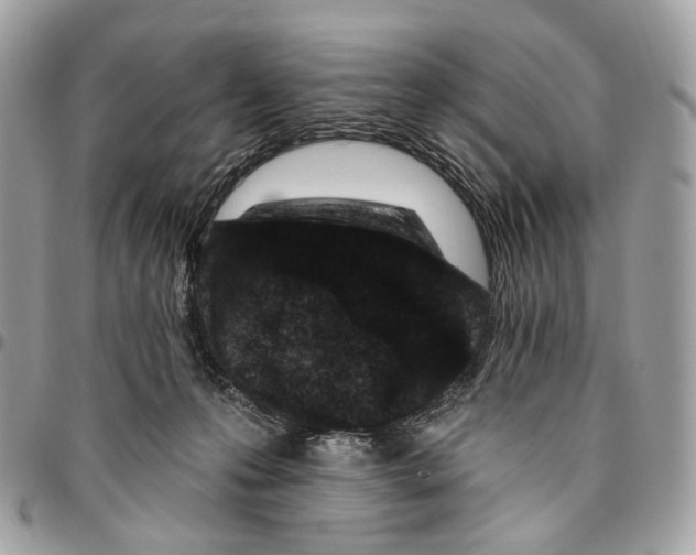 X0000095900223200802081147