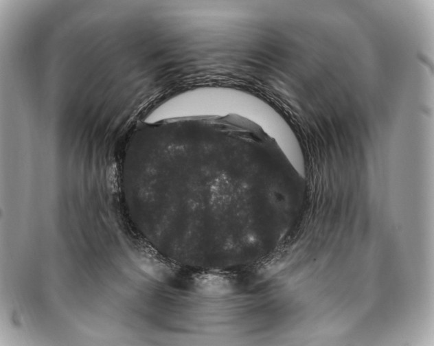 X0000095900224200802081147