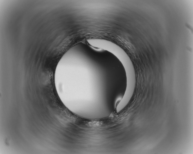 X0000095900225200802081147