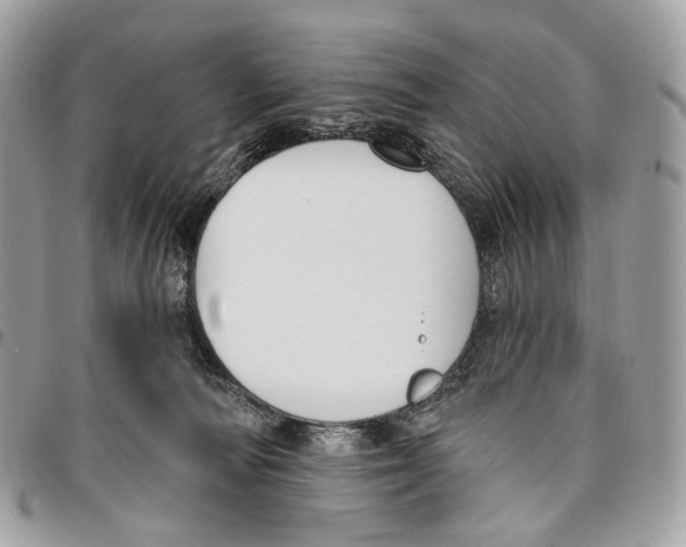 X0000095900226200802081147